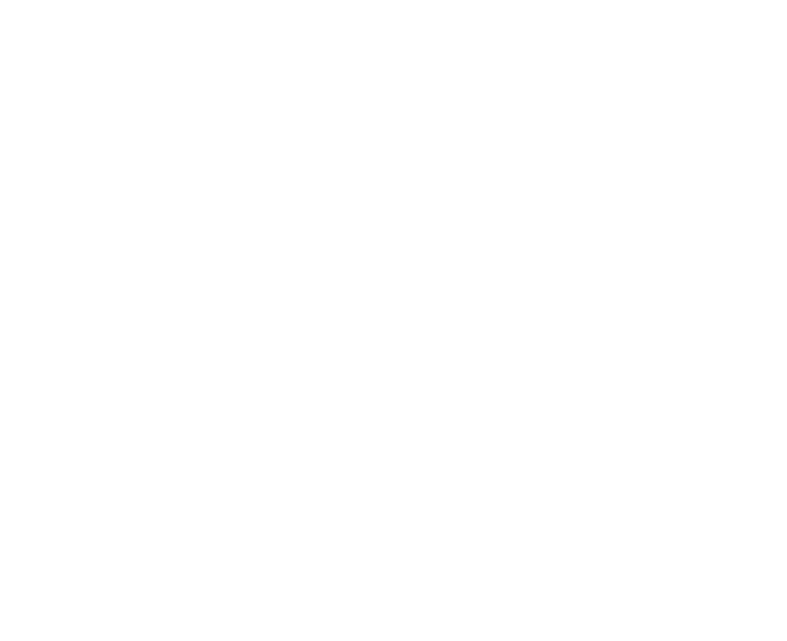 Reputation Master